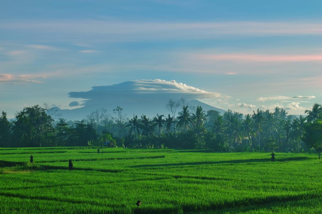 Putra Guest House Ubud Esterno foto