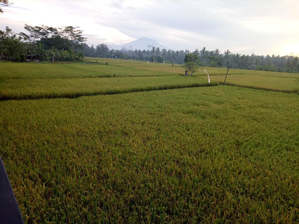 Putra Guest House Ubud Esterno foto
